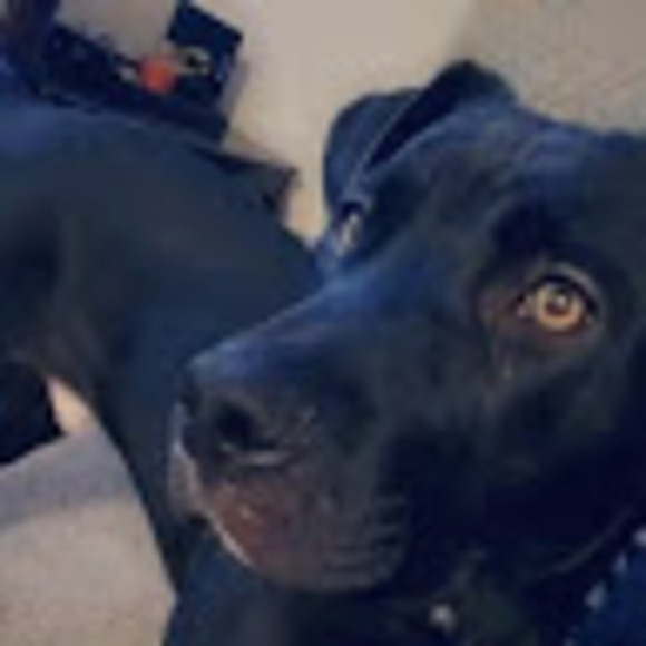 Meet your Posher, Casey - Picture 1 of 1